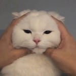 Esmeralda Patiño avatar